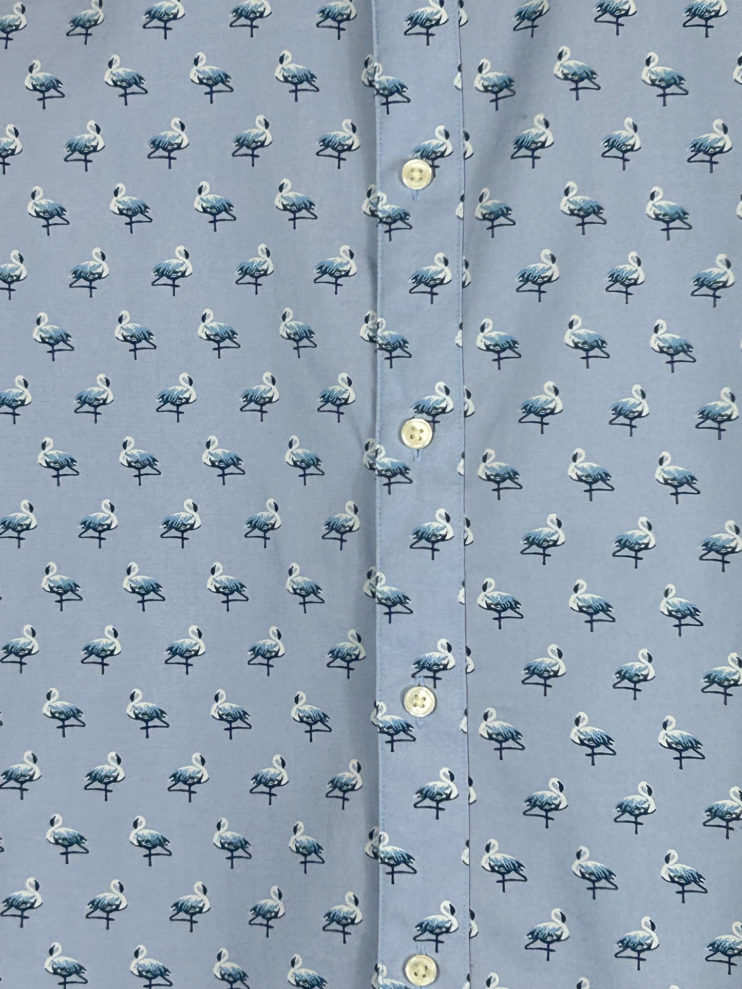 Blue Ted Baker Shirt