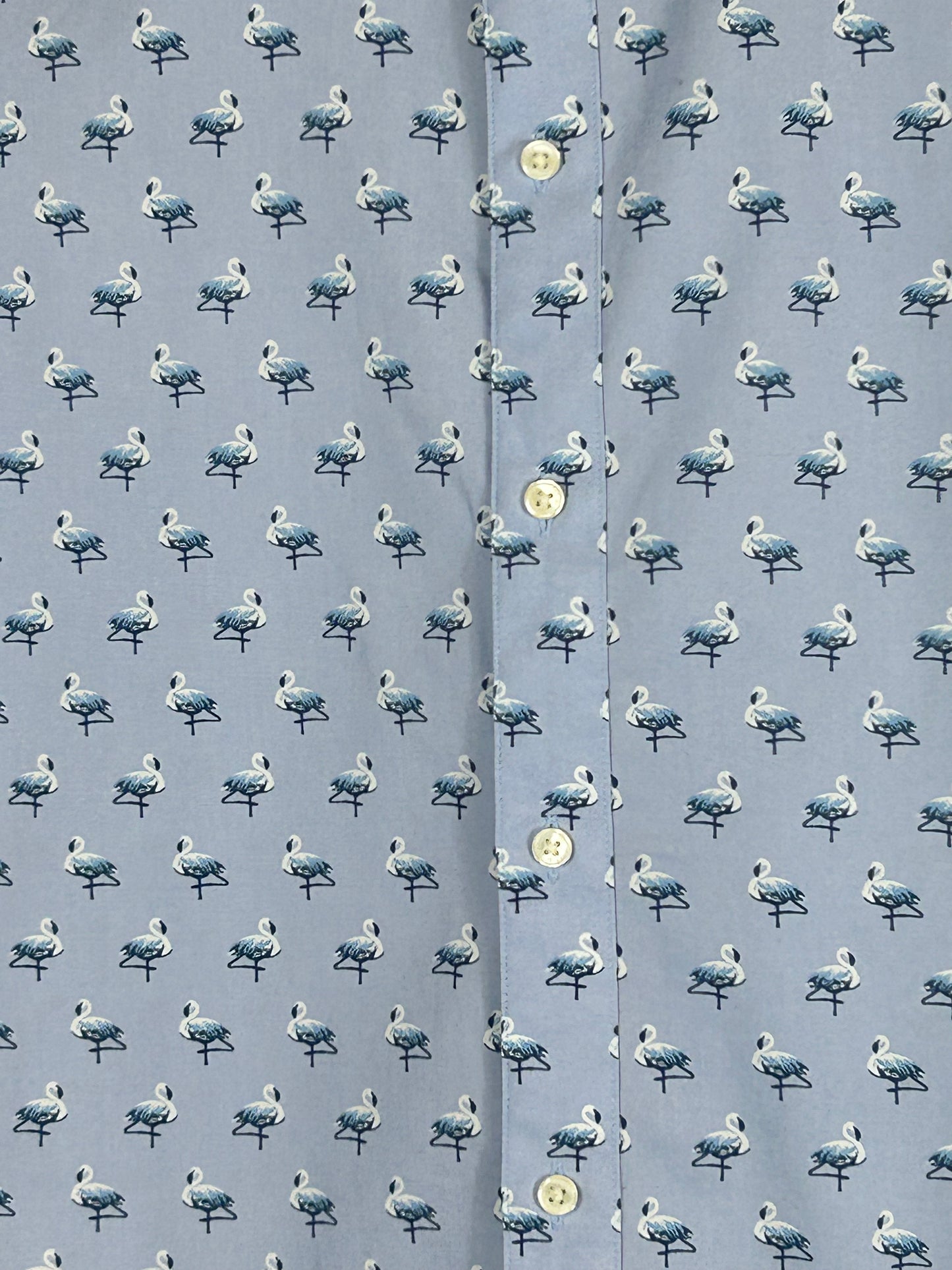 Blue Ted Baker Shirt