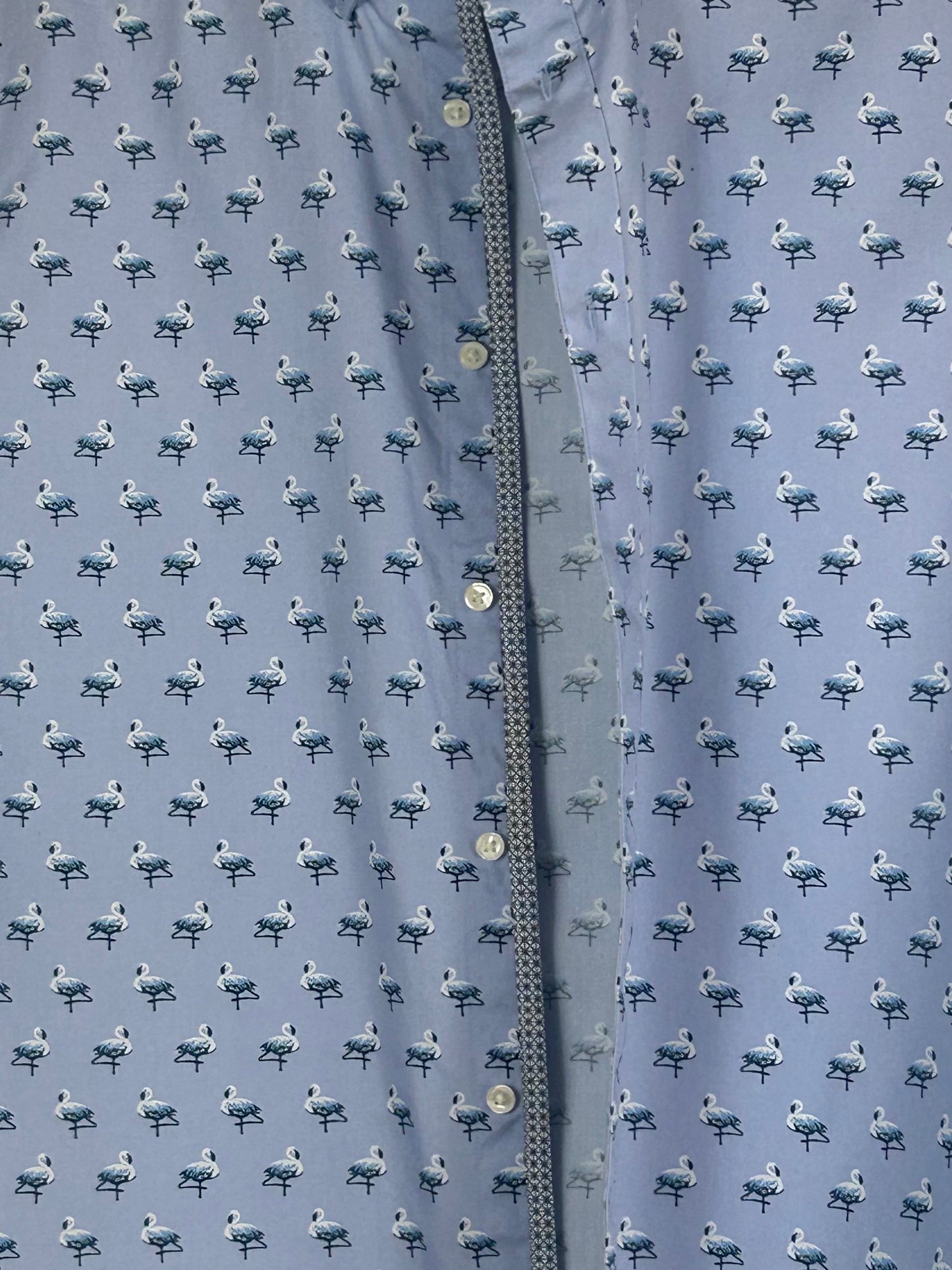 Blue Ted Baker Shirt