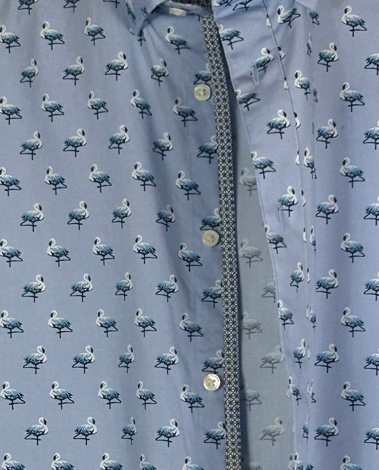 Blue Ted Baker Shirt